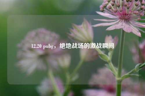 12.20 pubg,绝地战场的激战瞬间