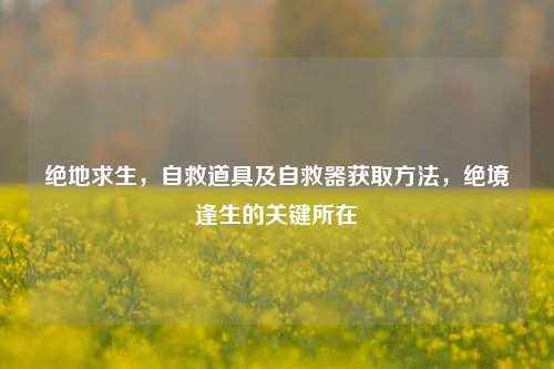 绝地求生，自救道具及自救器获取方法，绝境逢生的关键所在