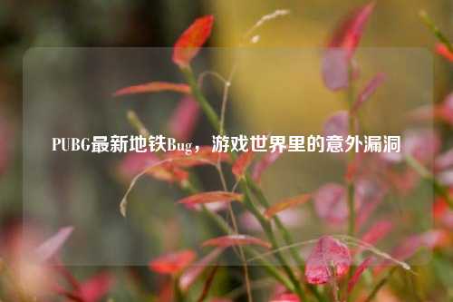 PUBG最新地铁Bug，游戏世界里的意外漏洞