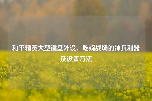 和平精英大型键盘外设，吃鸡战场的神兵利器及设置方法