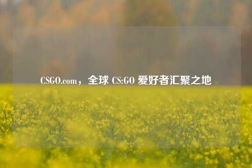 CSGO.com，全球 CS:GO 爱好者汇聚之地