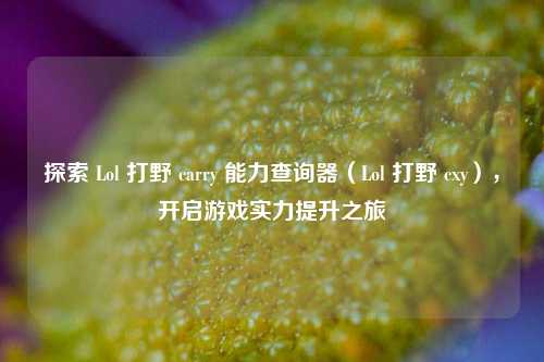 探索 Lol 打野 carry 能力查询器（Lol 打野 cxy），开启游戏实力提升之旅