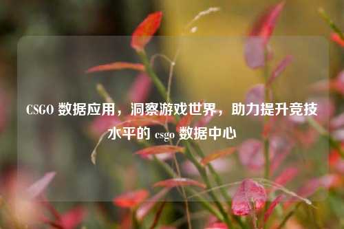 CSGO 数据应用,洞察游戏世界,助力提升竞技水平的 csgo 数据中心