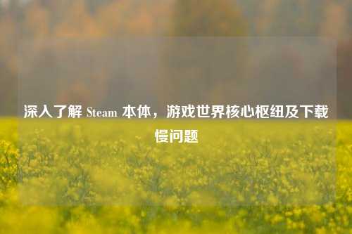 深入了解 Steam 本体，游戏世界核心枢纽及下载慢问题