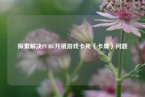 探索解决PUBG开镜游戏卡死（卡屏）问题