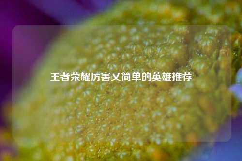 王者荣耀厉害又简单的英雄推荐