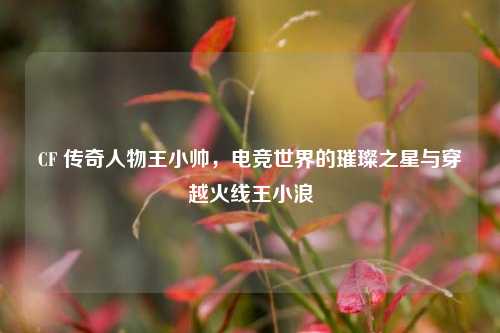 CF 传奇人物王小帅,电竞世界的璀璨之星与穿越火线王小浪
