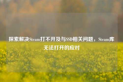 探索解决Steam打不开及与SSD相关问题,Steam库无法打开的应对