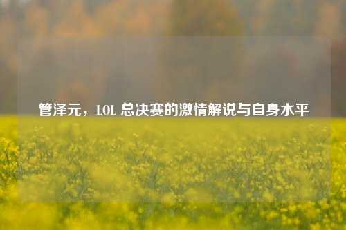 管泽元，LOL 总决赛的激情解说与自身水平