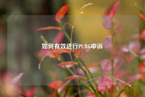 如何有效进行PUBG申诉
