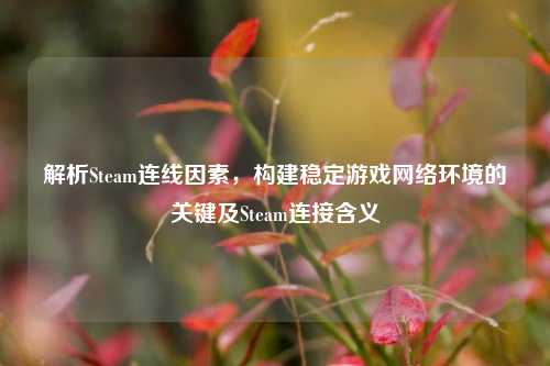 解析Steam连线因素,构建稳定游戏网络环境的关键及Steam连接含义