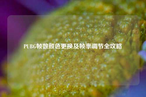 PUBG帧数颜色更换及帧率调节全攻略