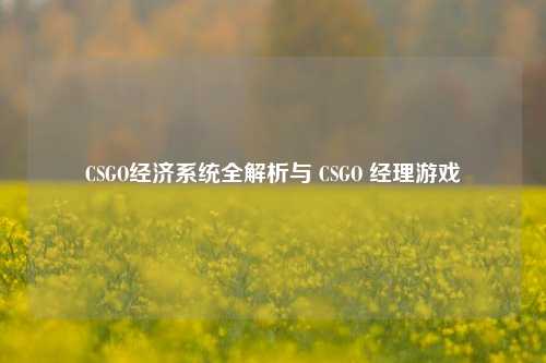 CSGO经济系统全解析与 CSGO 经理游戏