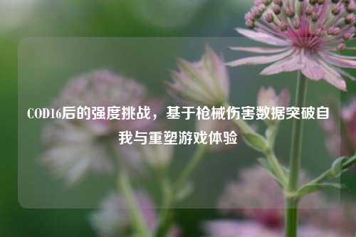 COD16后的强度挑战，基于枪械伤害数据突破自我与重塑游戏体验