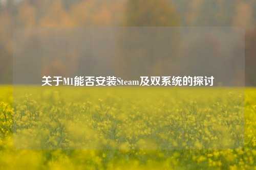 关于M1能否安装Steam及双系统的探讨