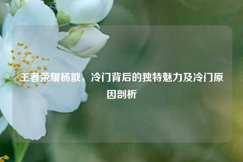 王者荣耀杨戬,冷门背后的独特魅力及冷门原因剖析