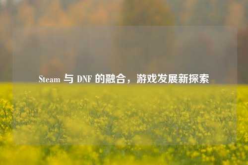 Steam 与 DNF 的融合,游戏发展新探索