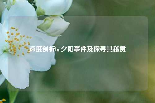 深度剖析lol夕阳事件及探寻其籍贯