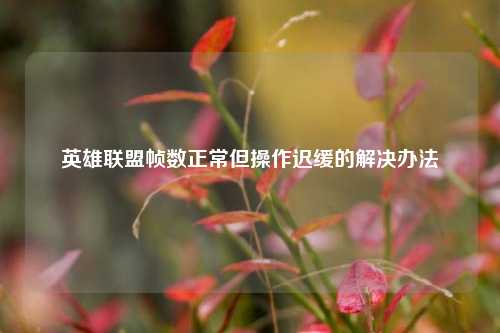 英雄联盟帧数正常但操作迟缓的解决办法