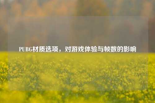 PUBG材质选项，对游戏体验与帧数的影响
