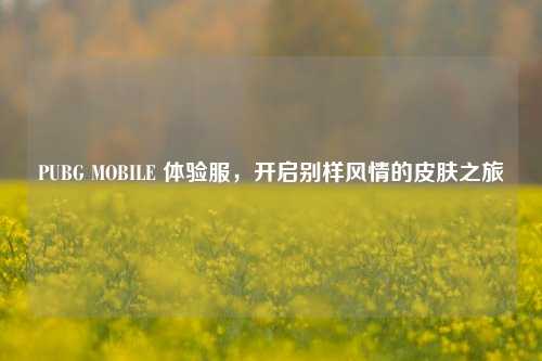 PUBG MOBILE 体验服，开启别样风情的皮肤之旅