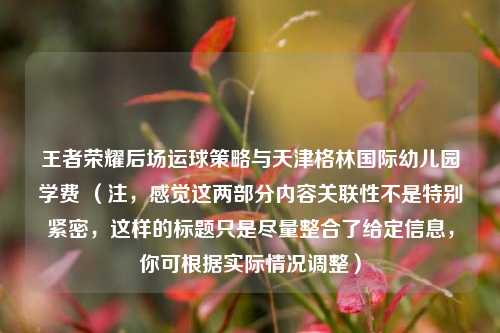 王者荣耀后场运球策略与天津格林国际幼儿园学费 （注，感觉这两部分内容关联性不是特别紧密，这样的标题只是尽量整合了给定信息，你可根据实际情况调整）