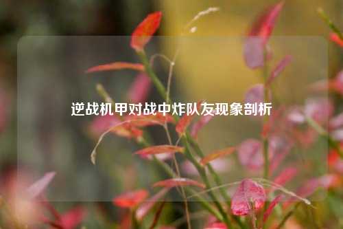 逆战机甲对战中炸队友现象剖析