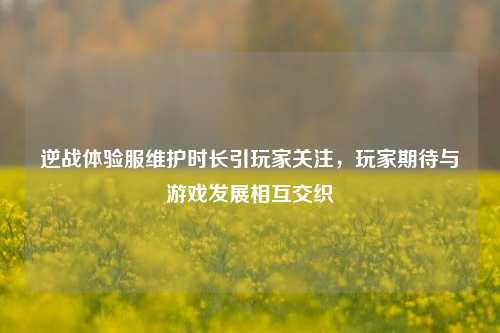 逆战体验服维护时长引玩家关注，玩家期待与游戏发展相互交织