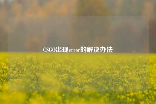 CSGO出现error的解决办法