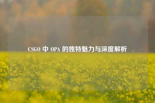 CSGO 中 OPA 的独特魅力与深度解析