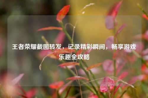 王者荣耀截图转发，记录精彩瞬间，畅享游戏乐趣全攻略