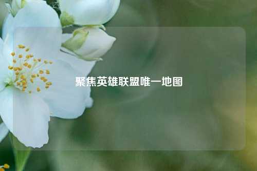 聚焦英雄联盟唯一地图