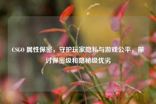CSGO 属性保密，守护玩家隐私与游戏公平，探讨保密级和隐秘级优劣