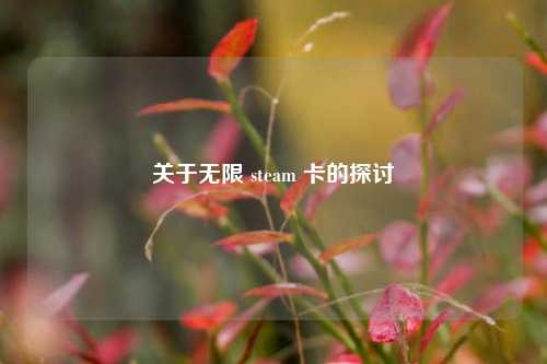关于无限 steam 卡的探讨