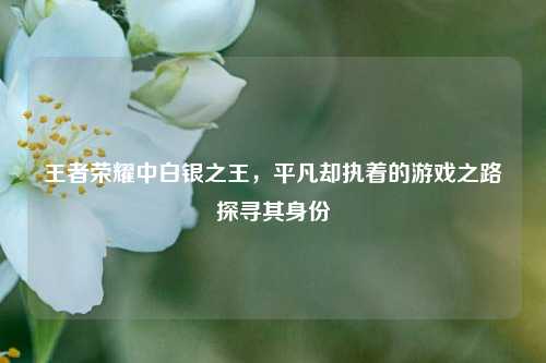 王者荣耀中白银之王,平凡却执着的游戏之路探寻其身份