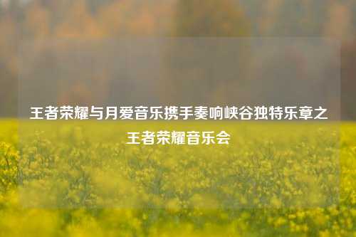 王者荣耀与月爱音乐携手奏响峡谷独特乐章之王者荣耀音乐会