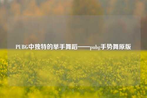 PUBG中独特的举手舞蹈——pubg手势舞原版