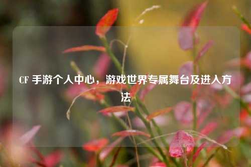 CF 手游个人中心，游戏世界专属舞台及进入方法