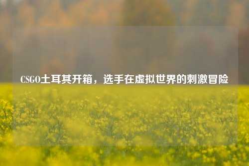 CSGO土耳其开箱，选手在虚拟世界的刺激冒险