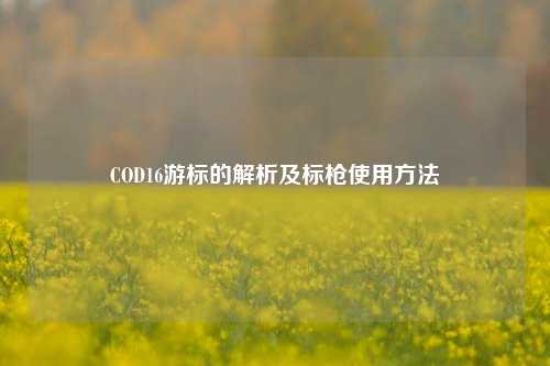COD16游标的解析及标枪使用方法