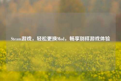 Steam游戏，轻松更换Mod，畅享别样游戏体验
