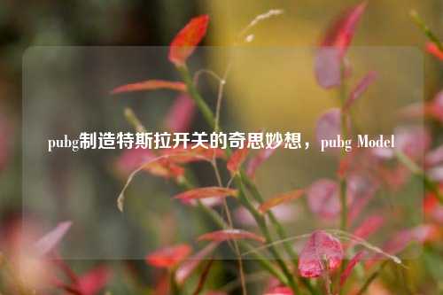 pubg制造特斯拉开关的奇思妙想，pubg Model