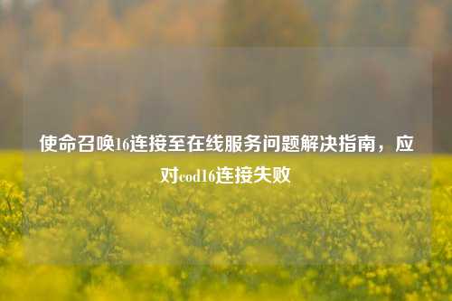 使命召唤16连接至在线服务问题解决指南,应对cod16连接失败