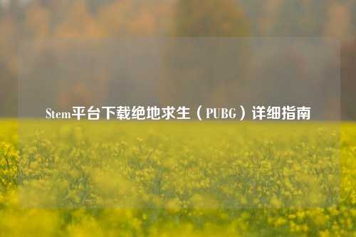 Stem平台下载绝地求生（PUBG）详细指南