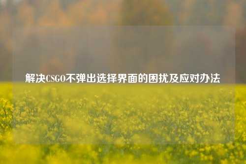 解决CSGO不弹出选择界面的困扰及应对办法