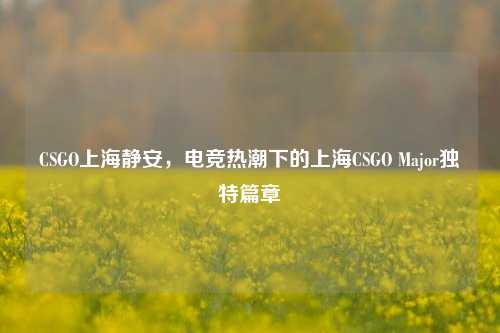 CSGO上海静安,电竞热潮下的上海CSGO Major独特篇章