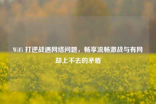 WiFi 打逆战遇网络问题，畅享流畅激战与有网却上不去的矛盾