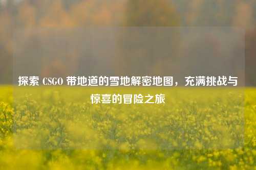 探索 CSGO 带地道的雪地解密地图，充满挑战与惊喜的冒险之旅