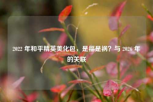 2022 年和平精英美化包，是福是祸？与 2026 年的关联