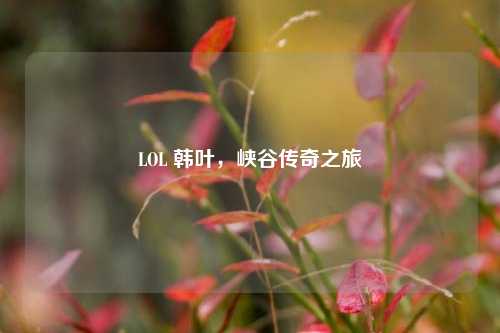 LOL 韩叶，峡谷传奇之旅